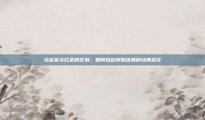 乌龙茶与红茶的区别，如何轻松辨别这两种经典茶饮