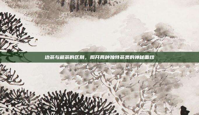 边茶与藏茶的区别，揭开两种独特茶类的神秘面纱