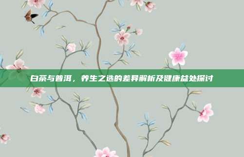 白茶与普洱，养生之选的差异解析及健康益处探讨