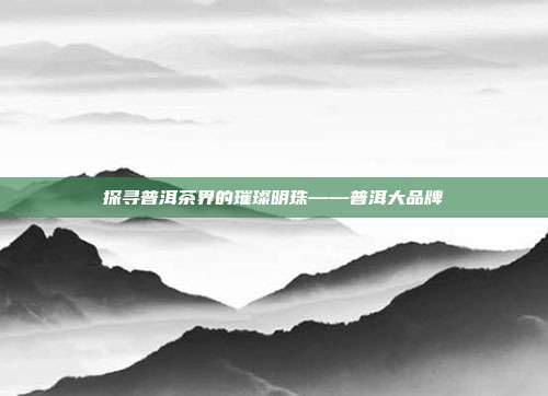 探寻普洱茶界的璀璨明珠——普洱大品牌