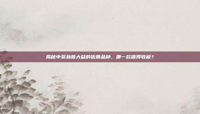 揭秘中茶熟普大益的优质品种，哪一款值得收藏？