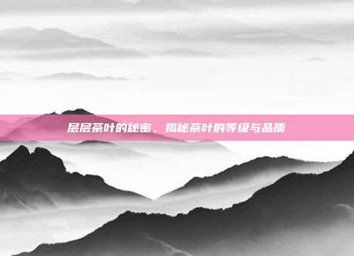 层层茶叶的秘密，揭秘茶叶的等级与品质
