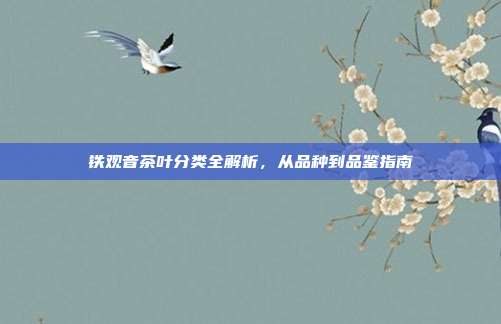 铁观音茶叶分类全解析，从品种到品鉴指南