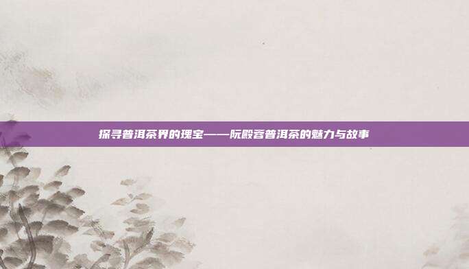 探寻普洱茶界的瑰宝——阮殿蓉普洱茶的魅力与故事