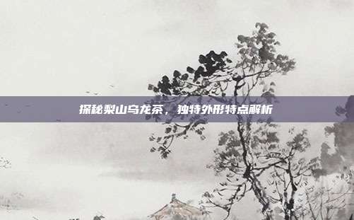 探秘梨山乌龙茶，独特外形特点解析