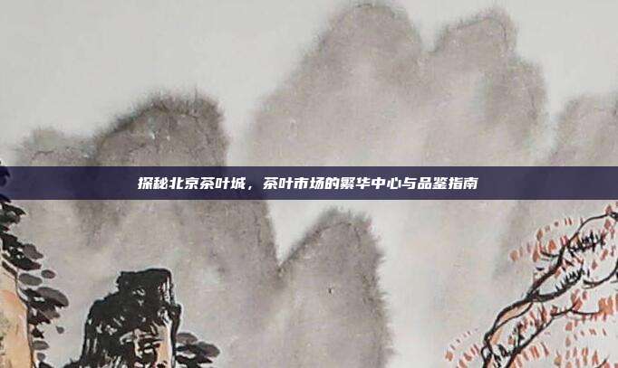 探秘北京茶叶城，茶叶市场的繁华中心与品鉴指南