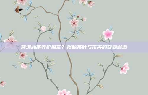 普洱熟茶养护梅花？揭秘茶叶与花卉的奇妙邂逅