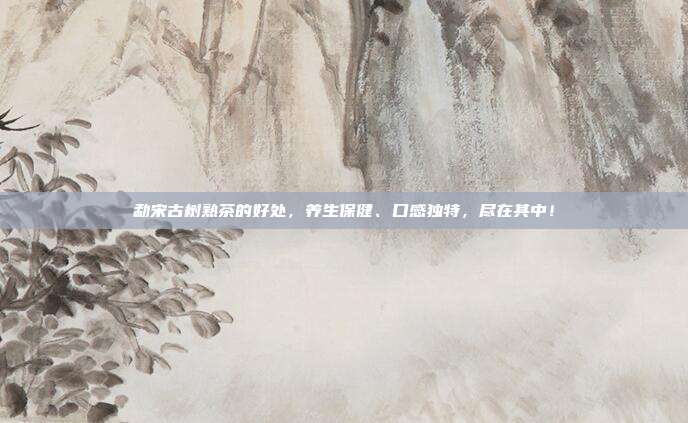 勐宋古树熟茶的好处，养生保健、口感独特，尽在其中！