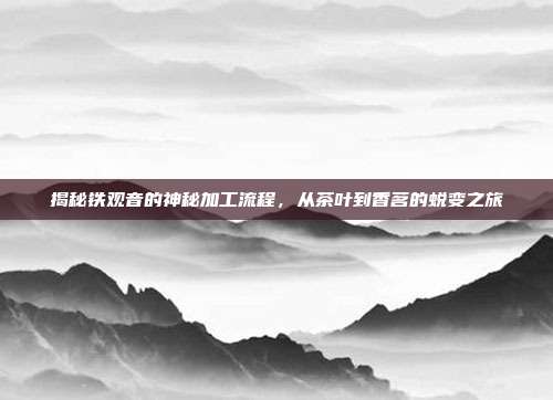 揭秘铁观音的神秘加工流程，从茶叶到香茗的蜕变之旅