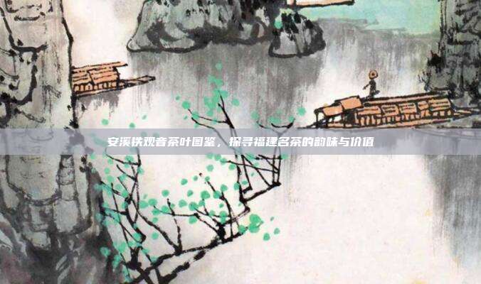 安溪铁观音茶叶图鉴，探寻福建名茶的韵味与价值