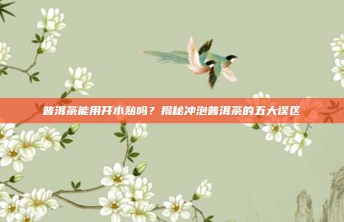普洱茶能用开水熟吗？揭秘冲泡普洱茶的五大误区