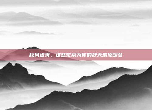 秋风送爽，这些花茶为你的秋天增添暖意