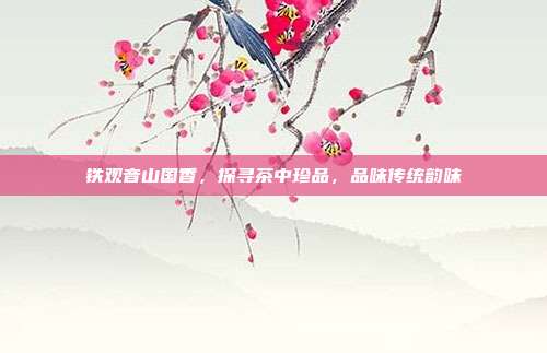 铁观音山国香，探寻茶中珍品，品味传统韵味