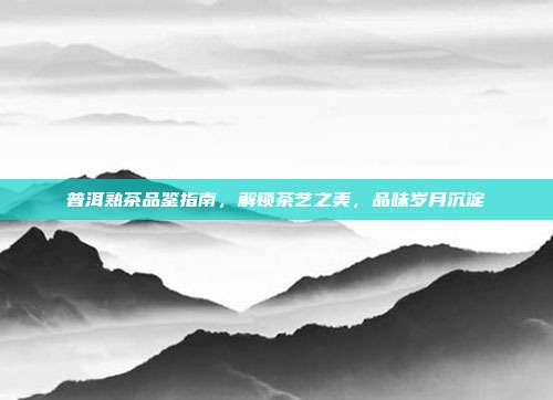 普洱熟茶品鉴指南，解锁茶艺之美，品味岁月沉淀