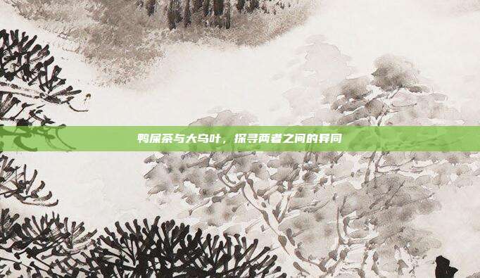 鸭屎茶与大乌叶，探寻两者之间的异同