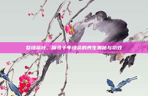 婺绿茶叶，探寻千年绿茶的养生奥秘与功效
