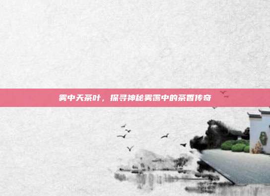 雾中天茶叶，探寻神秘雾霭中的茶香传奇