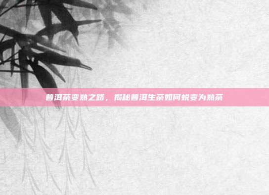 普洱茶变熟之路，揭秘普洱生茶如何蜕变为熟茶