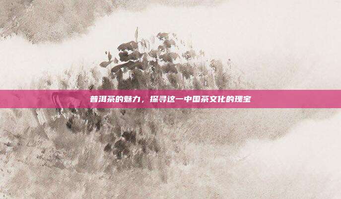 普洱茶的魅力，探寻这一中国茶文化的瑰宝