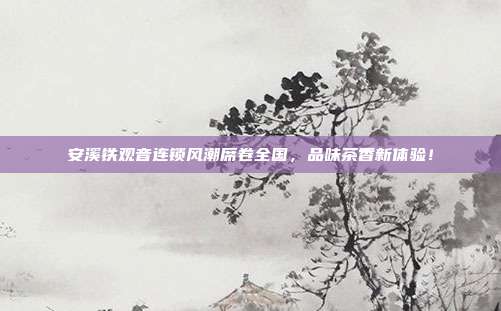 安溪铁观音连锁风潮席卷全国，品味茶香新体验！