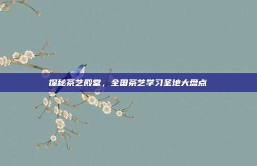 探秘茶艺殿堂，全国茶艺学习圣地大盘点