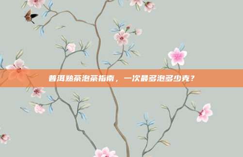 普洱熟茶泡茶指南，一次最多泡多少克？