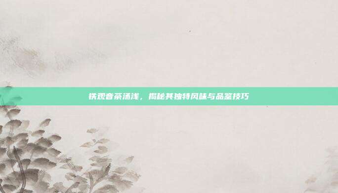 铁观音茶汤浅，揭秘其独特风味与品鉴技巧