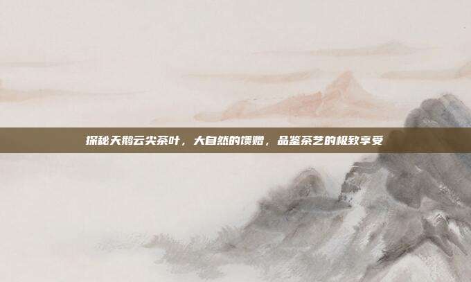 探秘天鹅云尖茶叶，大自然的馈赠，品鉴茶艺的极致享受