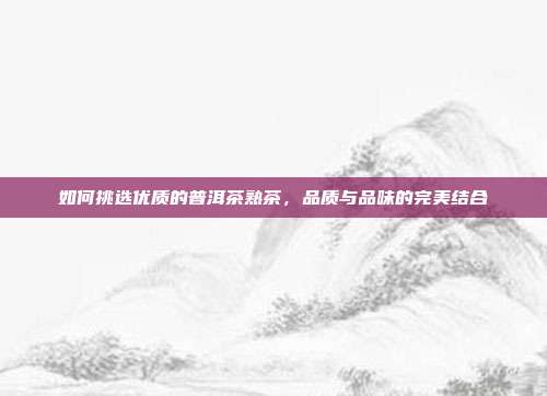 如何挑选优质的普洱茶熟茶，品质与品味的完美结合