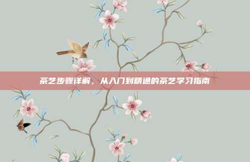 茶艺步骤详解，从入门到精通的茶艺学习指南