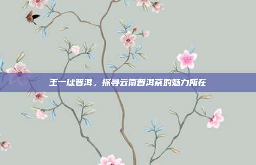 王一球普洱，探寻云南普洱茶的魅力所在