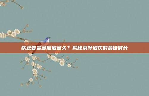 铁观音最多能泡多久？揭秘茶叶泡饮的最佳时长
