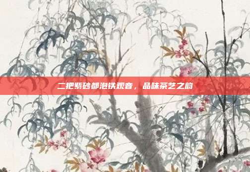 二把紫砂都泡铁观音，品味茶艺之韵