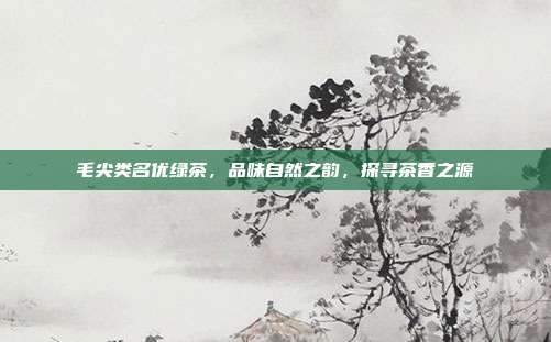 毛尖类名优绿茶，品味自然之韵，探寻茶香之源