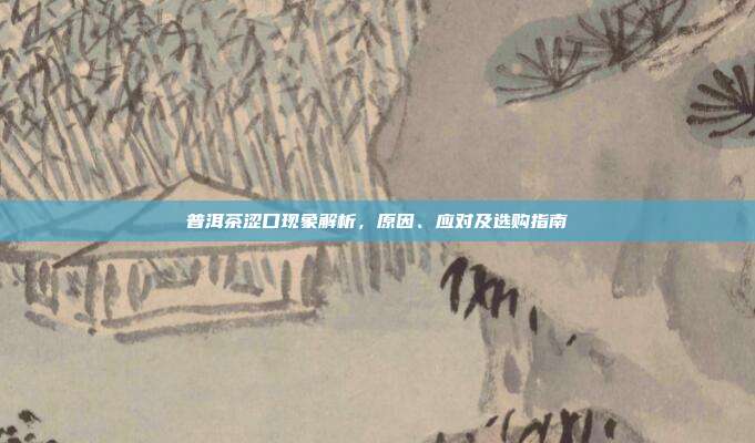 普洱茶涩口现象解析，原因、应对及选购指南
