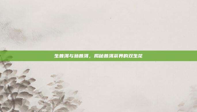 生普洱与熟普洱，揭秘普洱茶界的双生花