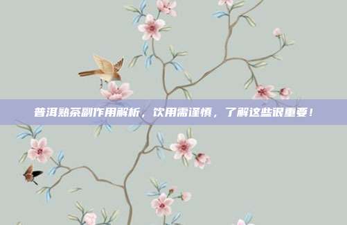 普洱熟茶副作用解析，饮用需谨慎，了解这些很重要！