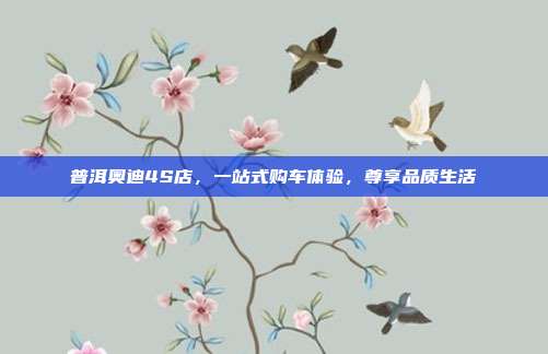 普洱奥迪4S店，一站式购车体验，尊享品质生活