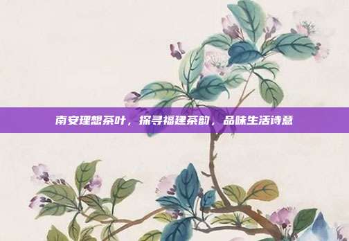 南安理想茶叶，探寻福建茶韵，品味生活诗意