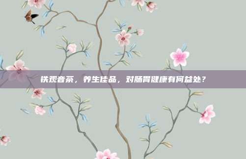 铁观音茶，养生佳品，对肠胃健康有何益处？