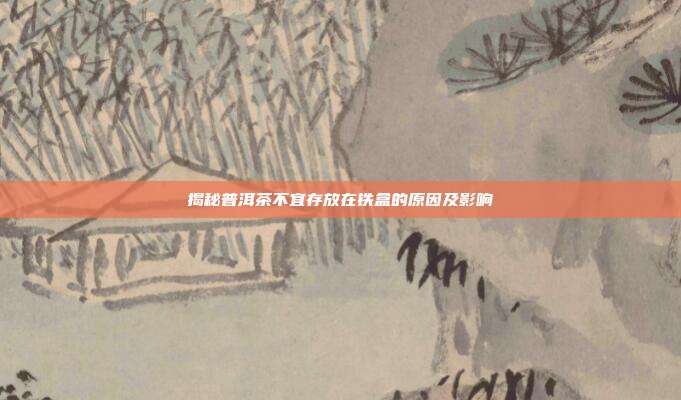 揭秘普洱茶不宜存放在铁盒的原因及影响