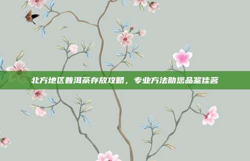 北方地区普洱茶存放攻略，专业方法助您品鉴佳茗