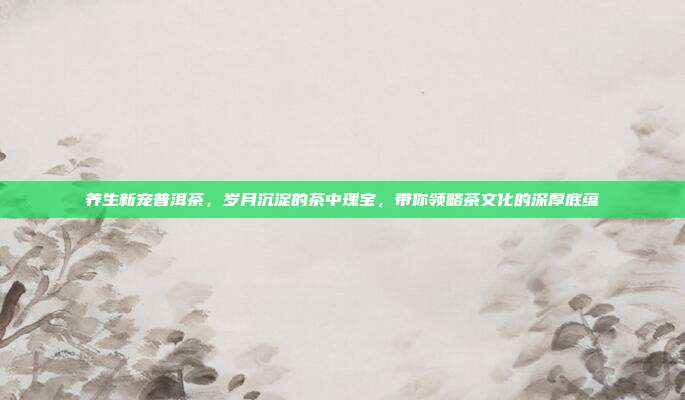 养生新宠普洱茶，岁月沉淀的茶中瑰宝，带你领略茶文化的深厚底蕴