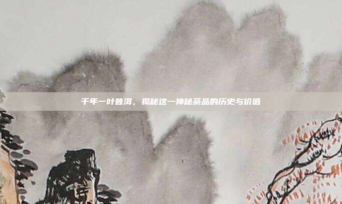 千年一叶普洱，揭秘这一神秘茶品的历史与价值