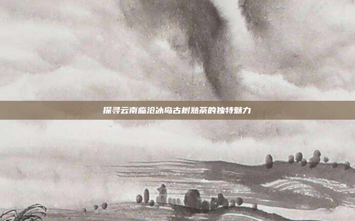 探寻云南临沧冰岛古树熟茶的独特魅力