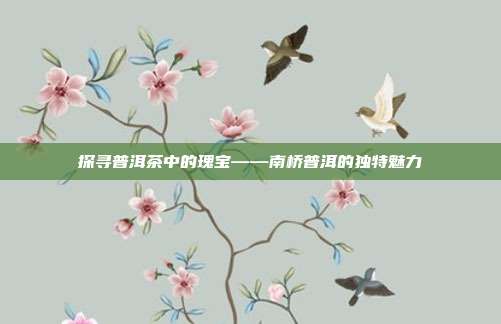 探寻普洱茶中的瑰宝——南桥普洱的独特魅力