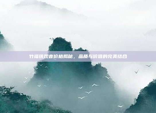 竹福铁观音价格揭秘，品质与价值的完美结合