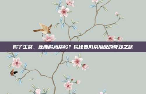 喝了生茶，还能喝熟茶吗？揭秘普洱茶搭配的奇妙之旅