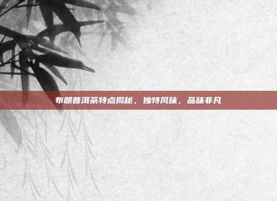 布朗普洱茶特点揭秘，独特风味，品味非凡