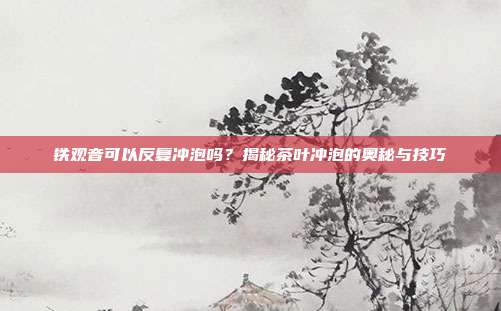 铁观音可以反复冲泡吗？揭秘茶叶冲泡的奥秘与技巧